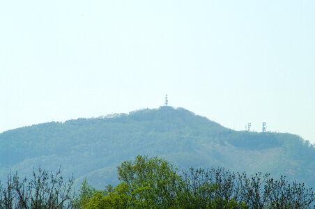 1 Hitsujigaoka Observation Hill