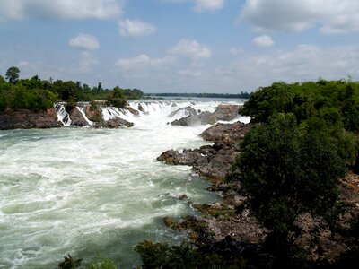 Jungle landscape river