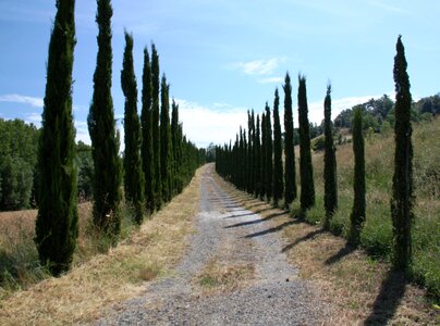 Tuscany florence italy photo