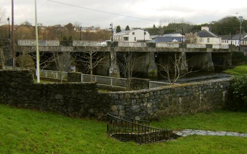 Beak bridge 