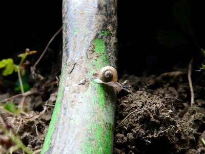 Small climb cute