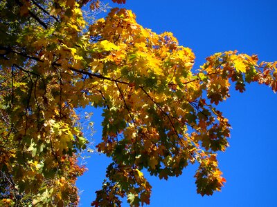 Blue sky clean freshness