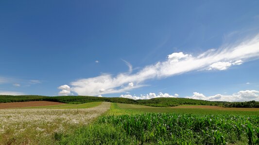 Sky cloud wallpaper photo