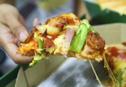 Food cheese lunch