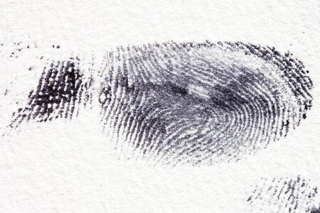 Fingertip finger berry contact