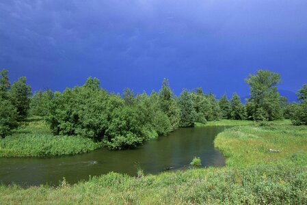 Brook brush clouds