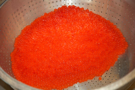 Container of salmon eggs at Spring Creek National Fish Hatchery
