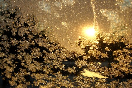 Frozen frosty window