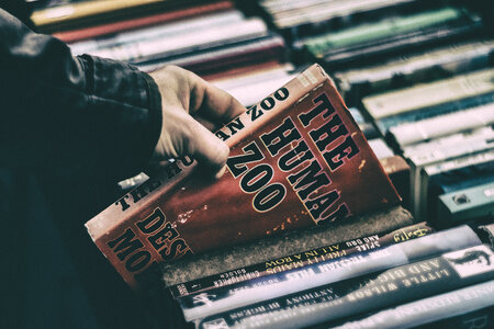 Closeup Hand Selecting Book in a Bookstore photo