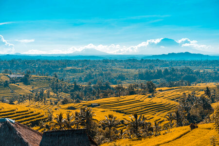 Scenic landscape with valley and mountains photo