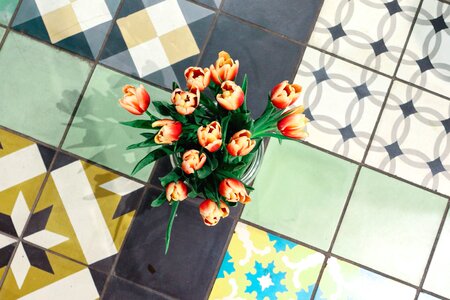 Decoration tulip vase photo