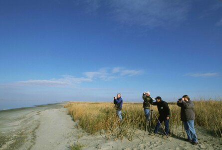 Group shoreline 