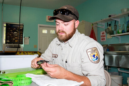 FWS biologist measures endangered Purple Cats's Paw mussel-1