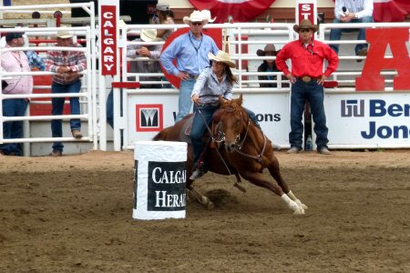 Horse rider person