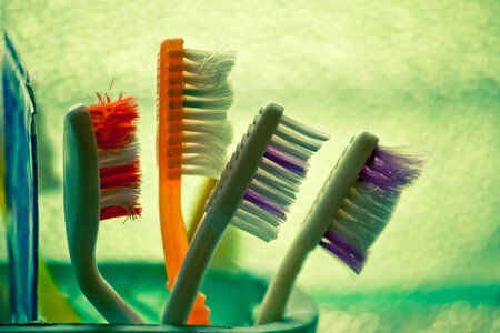 Colorful Toothbrushes photo