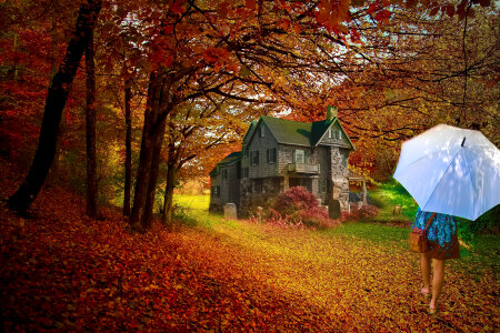 House under Autumn Trees photo