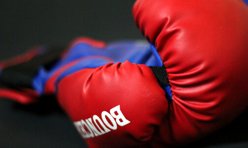 Boxing Gloves 2 photo
