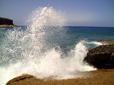 Summer nature water