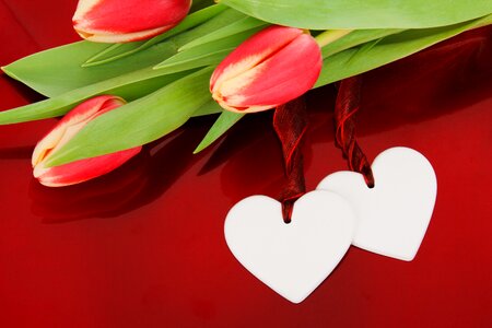 Celebration valentine day