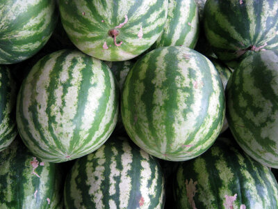 Pile of green watermelons at a fruit market photo