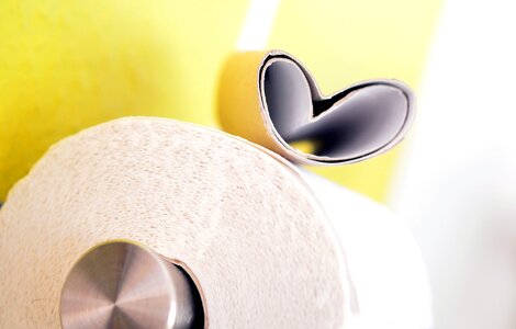 Cardboard metal toilet