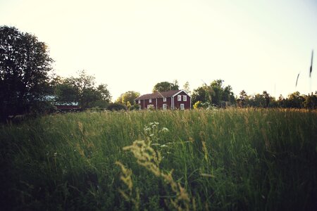 Farmhouse Summer Field photo