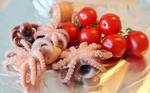 Mussels calamari appetizing