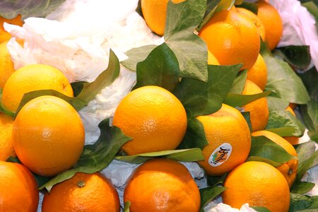 Diet food fresh