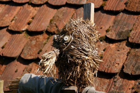 Head face woman of straw