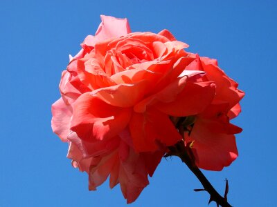 Blue background blue sky