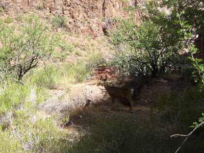 Grand Canyon National Park