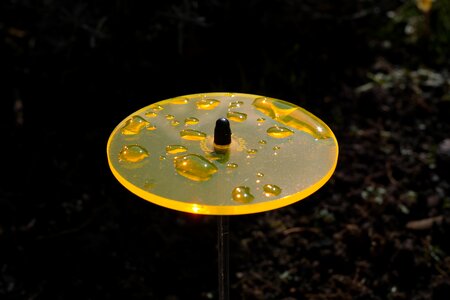 Garden decoration gartendeko neonorange