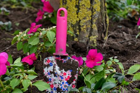 Garden gardening hand tool photo