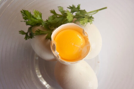 Eggs Yolk Coriander photo