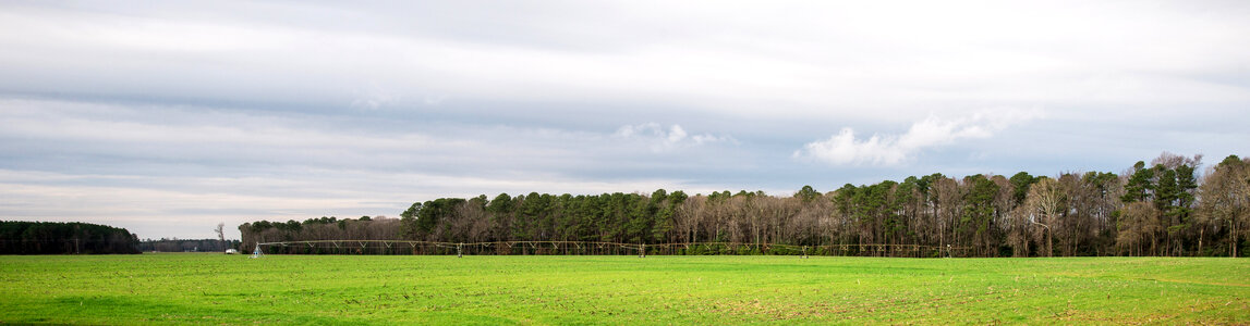 Rogers farm landscape and operations photo