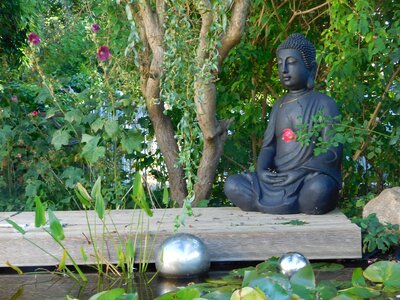 Asia gartendeko rest