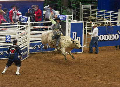 Bull Riding in arena in Austin, Texas photo