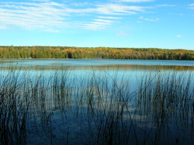 Otter Lake from the Platte Plains Trail photo