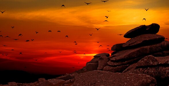Birds dusk rock