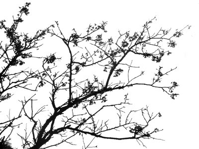Ink china art