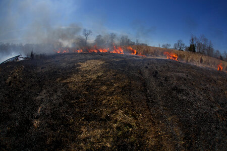 Prescribed Fire-1 photo