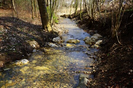 Stones flow water photo