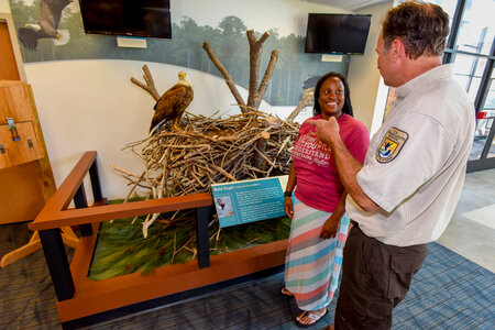 Visitor in dress looks at eagle exhibit in visitor center with FWS Staffer