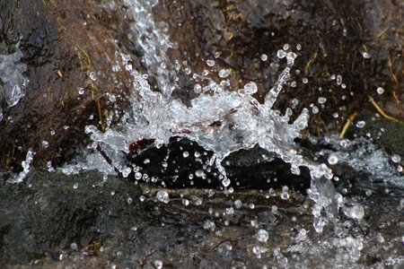 Coast motion nature