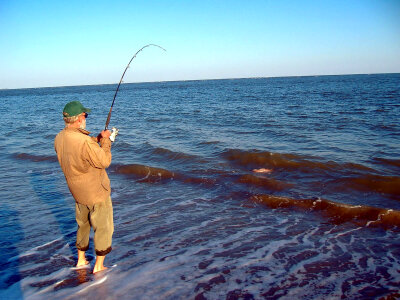 Beach surf fishing photo