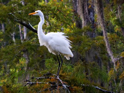 Wildlife state park