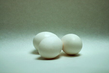 Egg