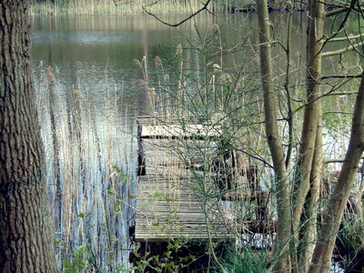 Jetty river landscape photo