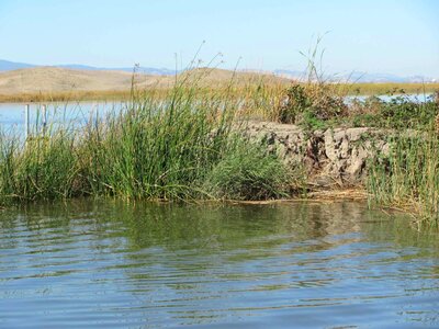 Area delta marsh