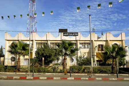 Tropical trees and buildings in Algiers, Algeria photo